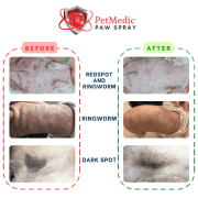 PetMedic Paw Spray Pet Antiseptic Sanitizer 500ml - Image 6