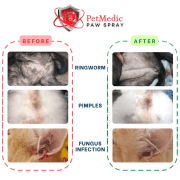 PetMedic Paw Spray Pet Antiseptic Sanitizer 500ml - Image 7