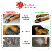 PetMedic Paw Spray Pet Antiseptic Sanitizer 500ml - Image 5