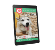 (第一系列)狗狗急救手册 – 生命征象评估和理学检查手册