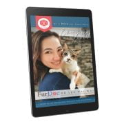 (2nd Series) Cat Emergency Handbook – Manual on Managing Wounds and Fracture