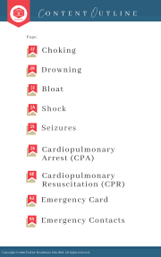 (3rd Series) Dog Emergency Handbook – Manual on Common Pet Emergencies - Image 3