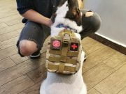 Professional Pet First Aid Kit (Army) – Limited Edition - Image 4