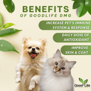 GoodLife DMG Immune Booster - Image 2