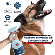 PetMedic Paw Spray Pet Antiseptic Sanitizer 500ml - Image 2