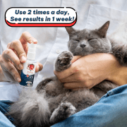 PetMedic Paw Spray Pet Antiseptic Sanitizer 50ml - Image 5