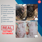 PetMedic Paw Spray Pet Antiseptic Sanitizer 500ml - Image 3