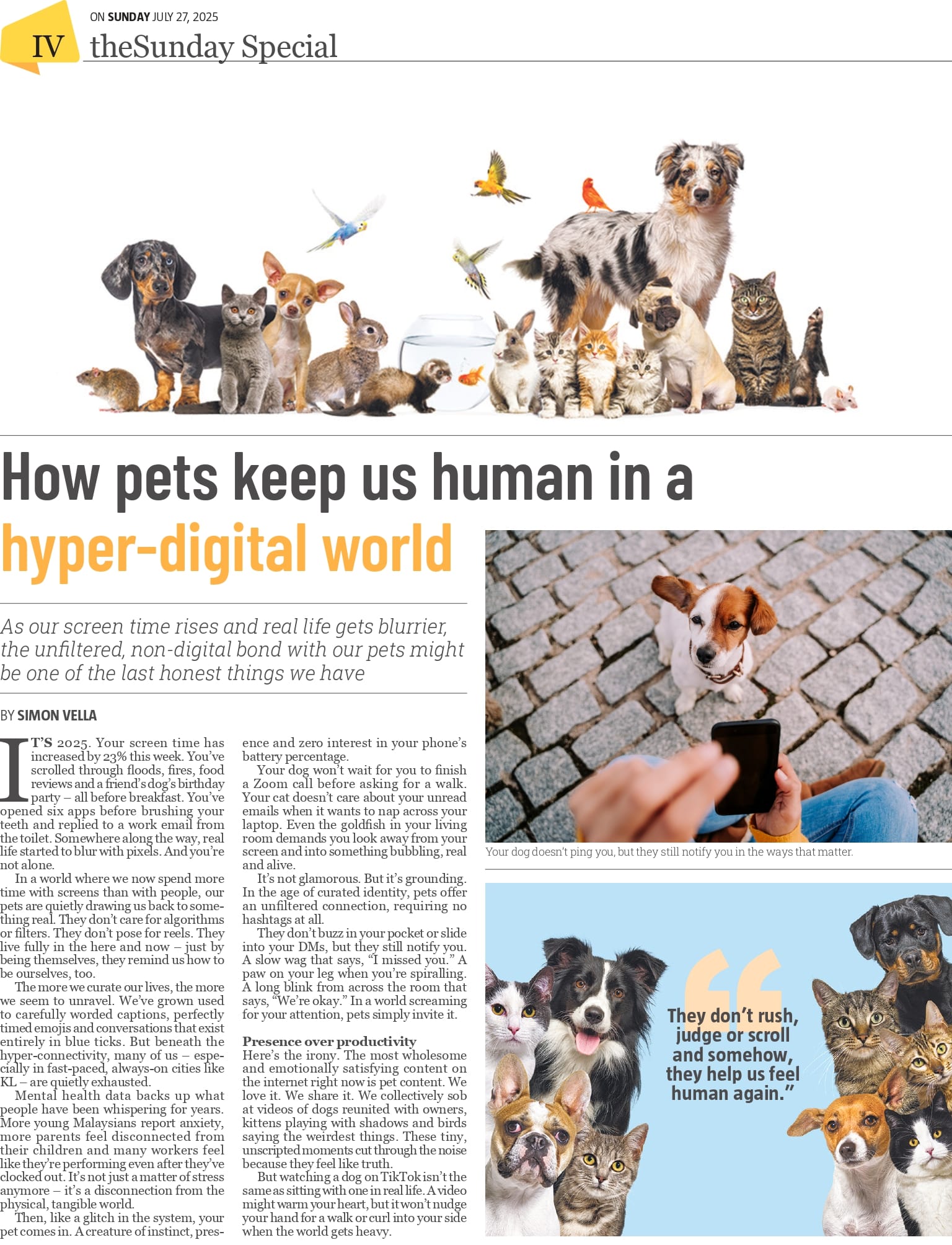 PetMedic-TheSun Editorial 2025-page1