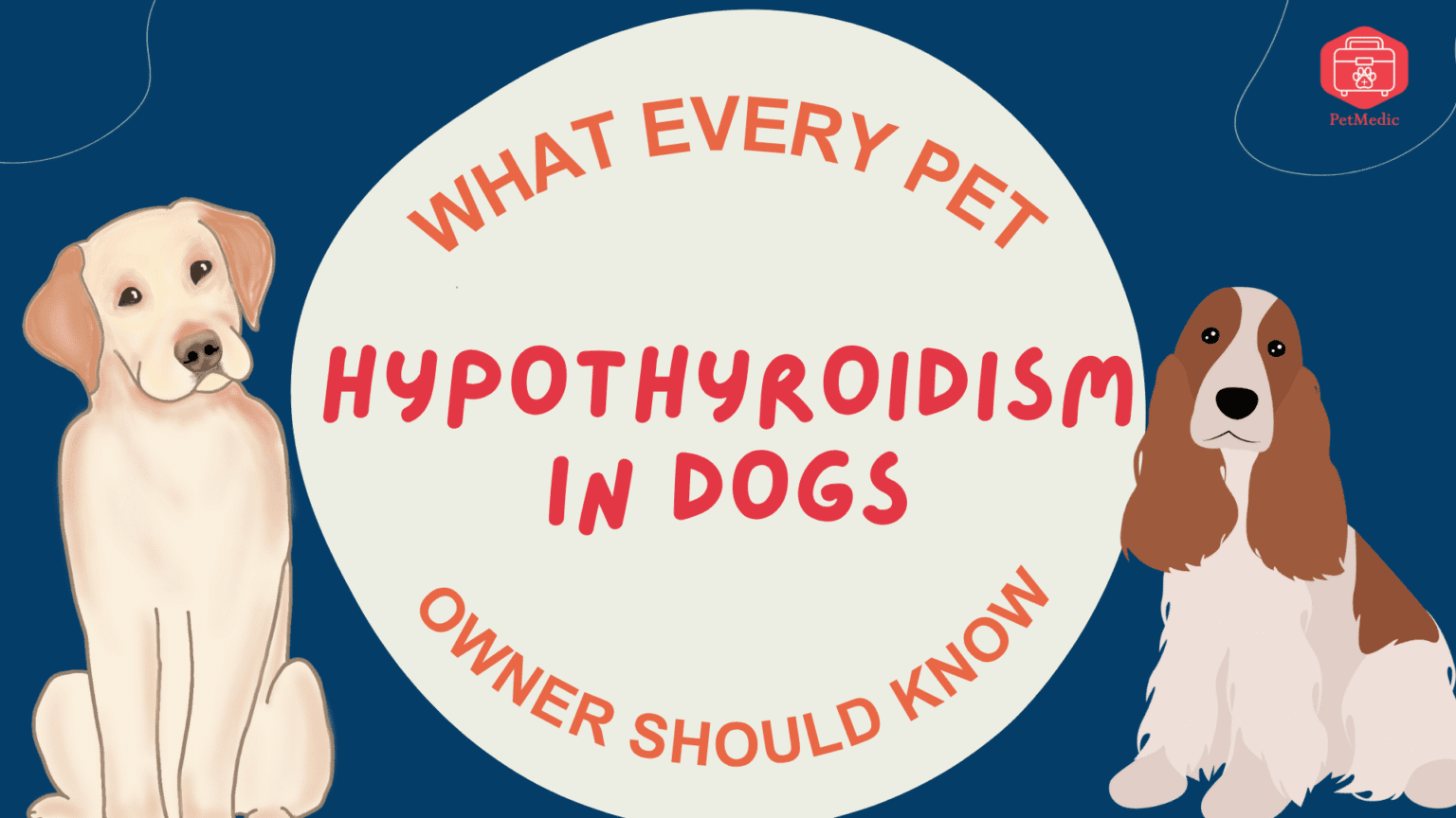 Image showcasing Hypothyroidism in Dogs — What Every Pet Owner Should Know – PetMedic